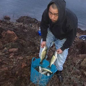 Meet your Posher, Jimmy